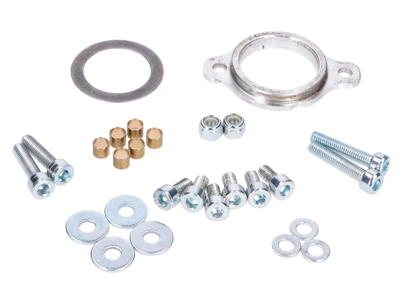 Zündung Set Malossi Power Upgrade auf 12V 90Watt 4-Spulen für Italjet Pack, Piaggio Bravo, Ciao, Grillo, Si, Superbravo Mofa/Moped